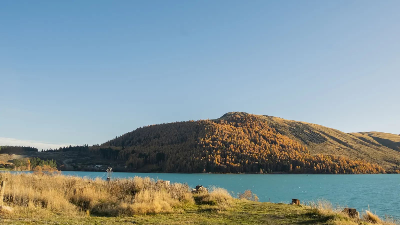 Autumn-coloured hillside beside a turquoise New Zealand lake