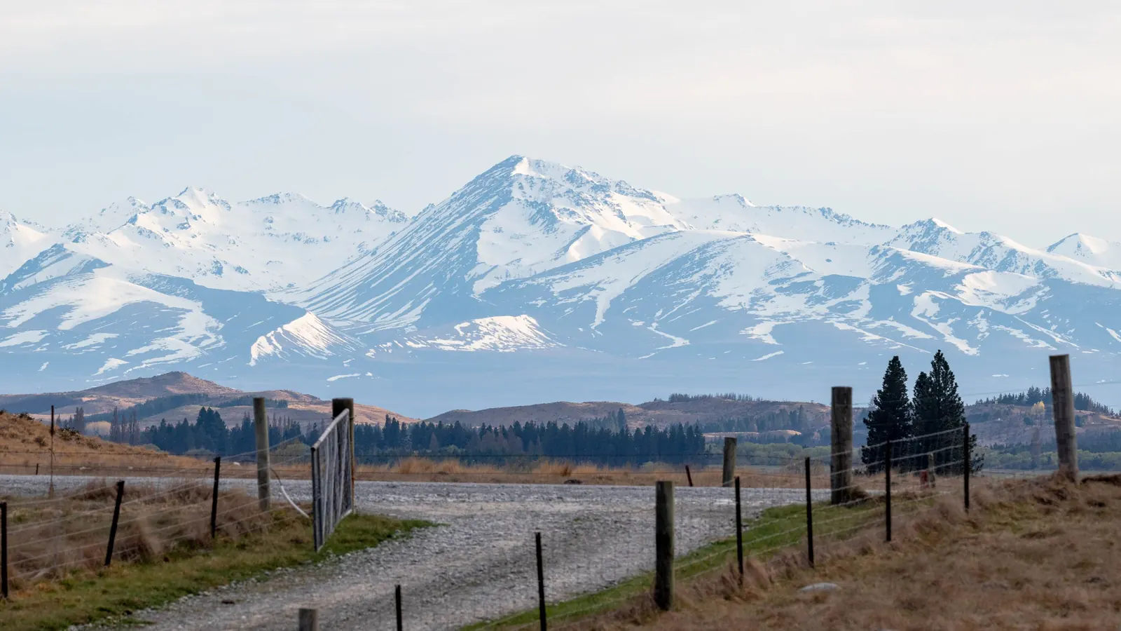 Farm gate and gravel driveway leading toward snow-capped New Zealand mountains