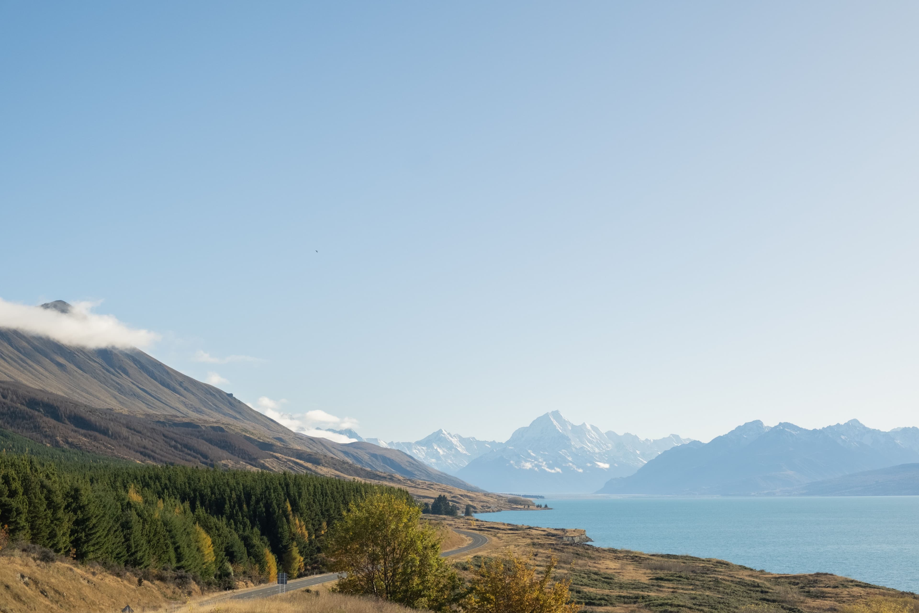 New Zealand landscape