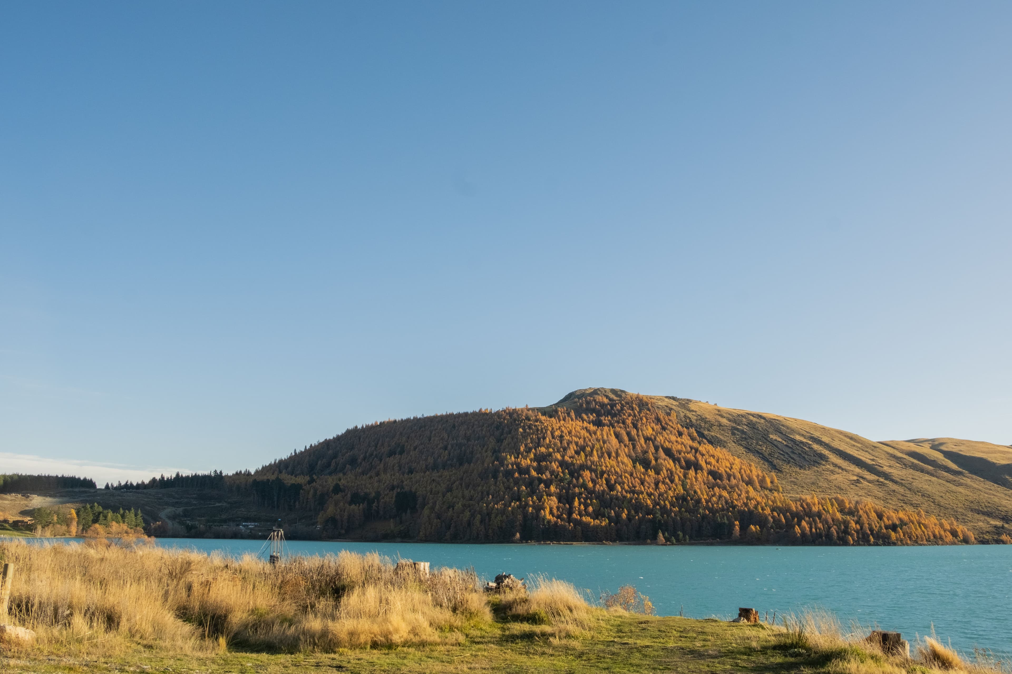 Lake and autumn hillside in New Zealand